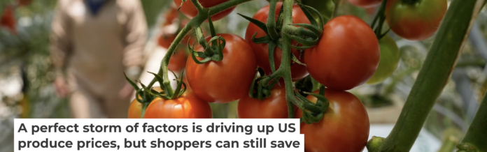 While U.S. produce prices are rising across the board, tomatoes are among the most affected. AP Photo/Marco Ugarte